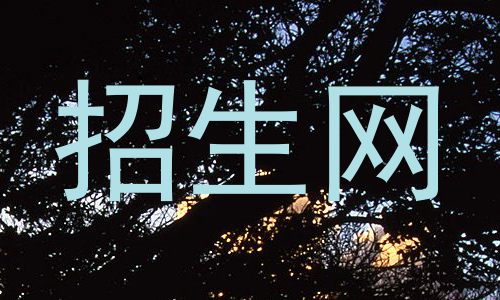 招生网