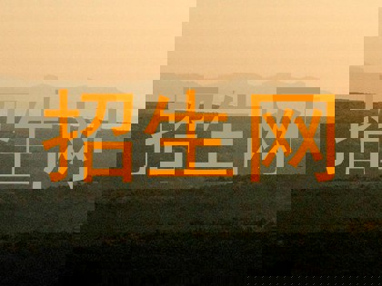 招生网