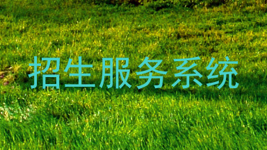 招生服务系统