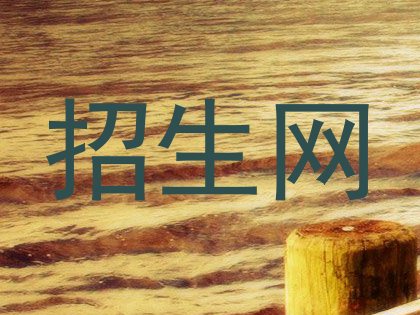 招生网