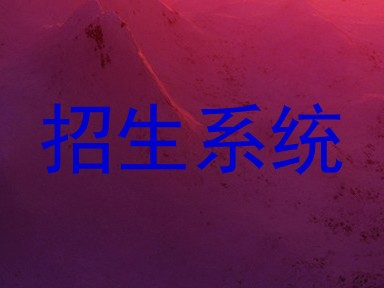 招生系统