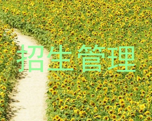 招生管理
