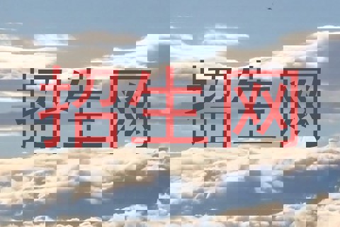 招生网