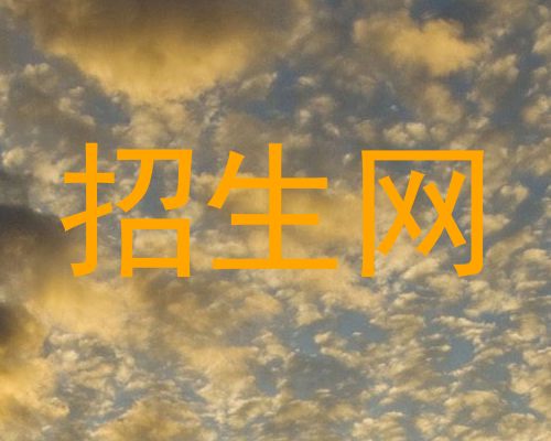 招生网