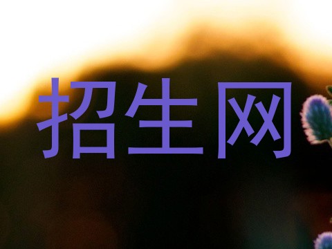 招生网