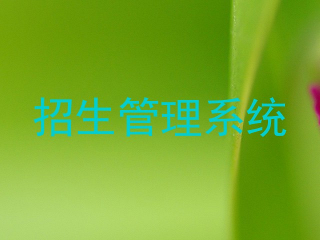 招生管理系统