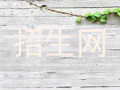 招生网