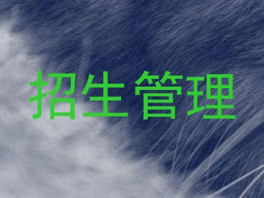 招生管理