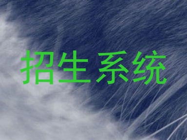 招生系统