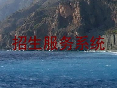 招生服务系统