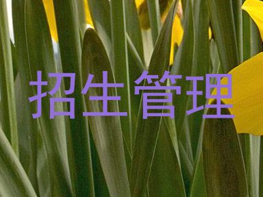 招生管理