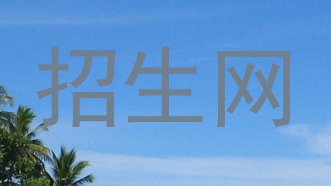 招生网