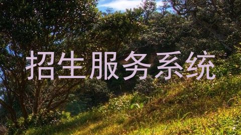 招生服务系统