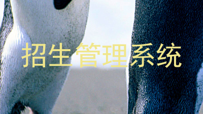 招生管理系统