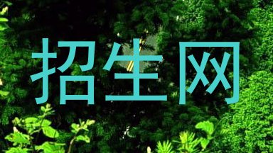 招生网