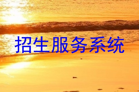 招生服务系统