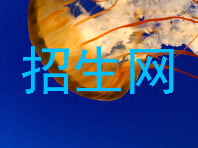招生网