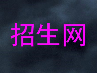 招生网
