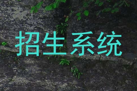 招生系统
