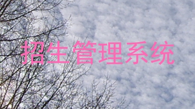招生管理系统