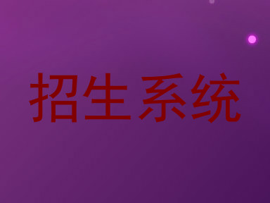 招生系统