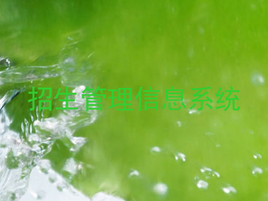 招生管理信息系统