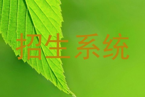 招生系统