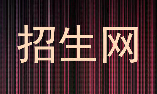 招生网