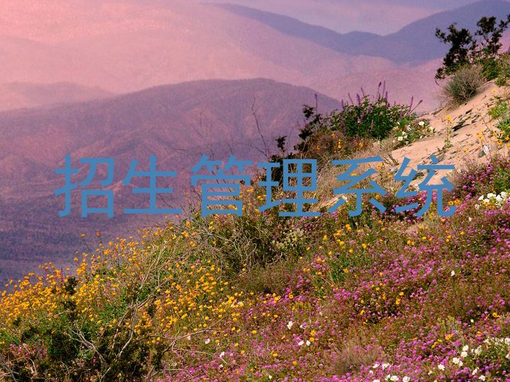 招生管理系统