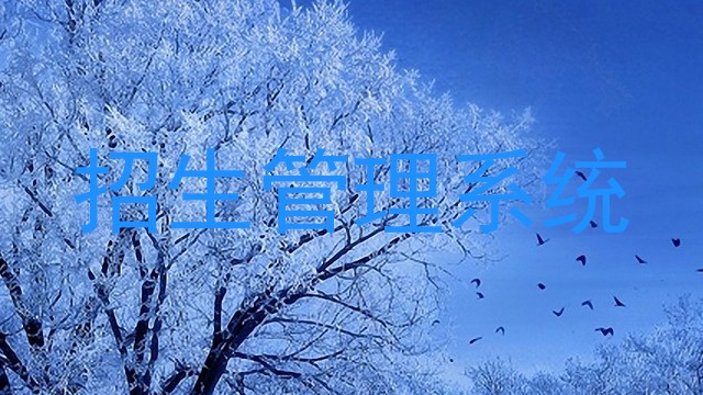 招生管理系统