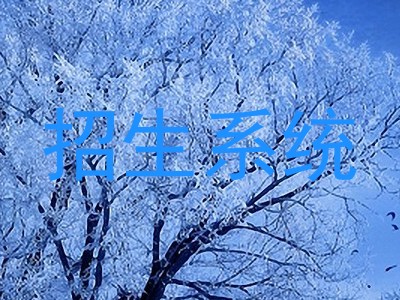 招生系统