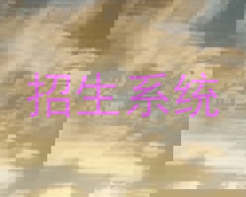招生系统