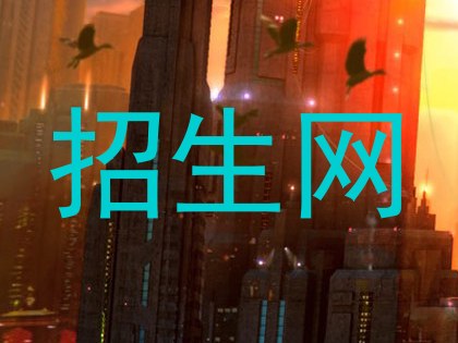 招生网