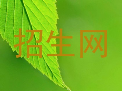 招生网