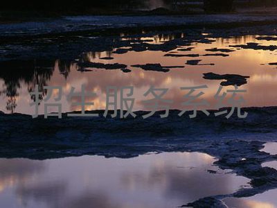 招生服务系统
