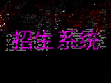 招生系统