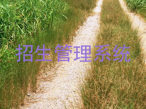 招生管理系统
