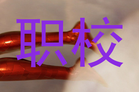 职校