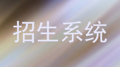 招生系统