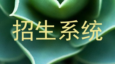 招生系统