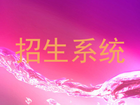 招生系统