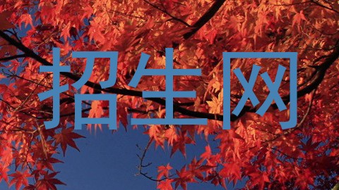 招生网