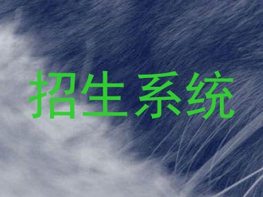 招生系统
