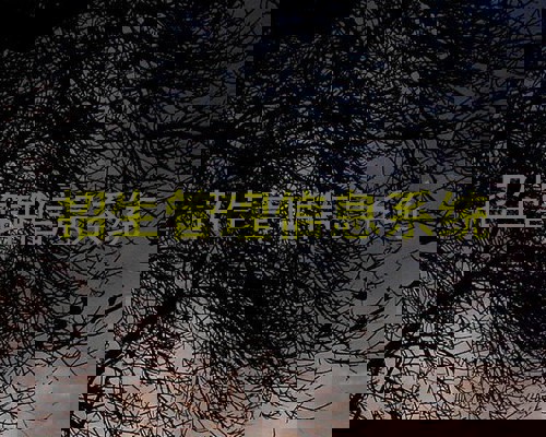 招生管理信息系统