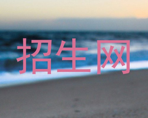 招生网