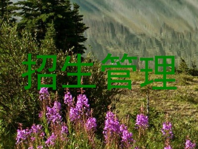 招生管理