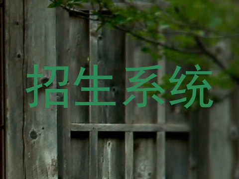招生系统