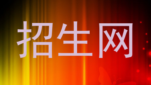 招生网