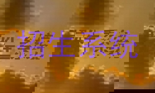 招生系统