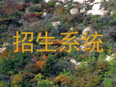 招生系统